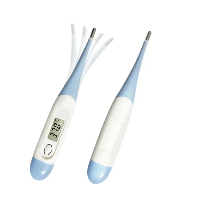 Sbf1bc19c9ede4007be96f6b2bc5cabb7O